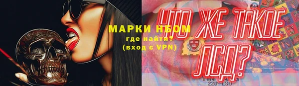 стаф Богданович