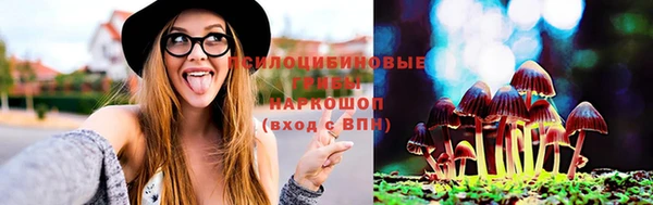 гидра Богородицк