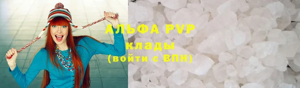 дурь Бородино