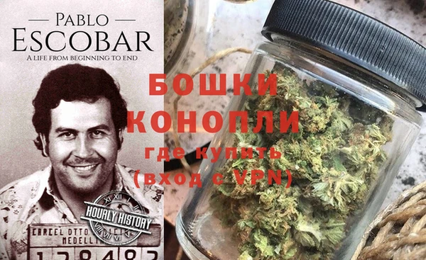 дурь Бородино