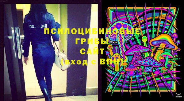 прущий лед Белокуриха
