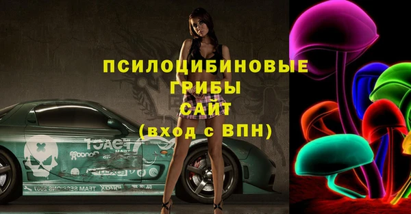 дурь Бородино