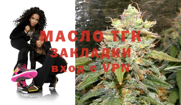гидра Богородицк