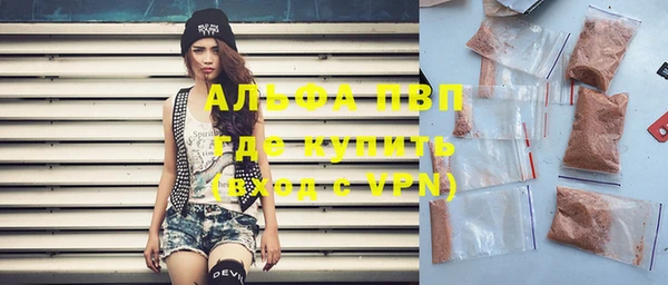 дурь Бородино