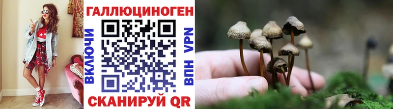Галлюциногенные грибы Psilocybine cubensis  что такое   мориарти формула  Белозерск 